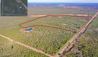 Freeport, Florida 32439, ,Land,For Sale,HWY FL-20,862373