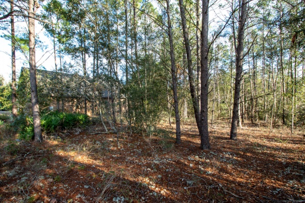 Freeport, Florida 32439, ,Land,For Sale,Mango,862378