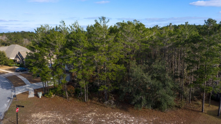 Freeport, Florida 32439, ,Land,For Sale,Mango,862378