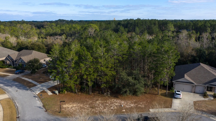 Freeport, Florida 32439, ,Land,For Sale,Mango,862378