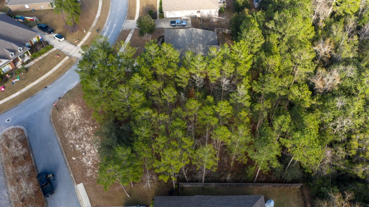 Freeport, Florida 32439, ,Land,For Sale,Mango,862378