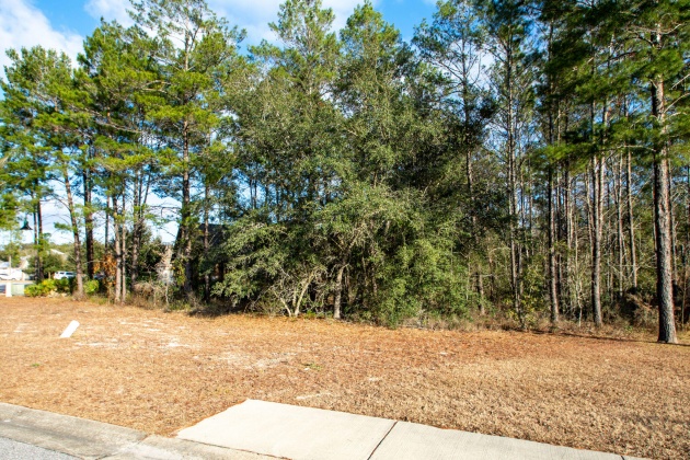 Freeport, Florida 32439, ,Land,For Sale,Mango,862378