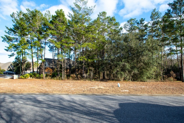 Freeport, Florida 32439, ,Land,For Sale,Mango,862378