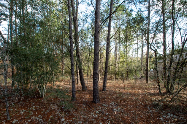 Freeport, Florida 32439, ,Land,For Sale,Mango,862378