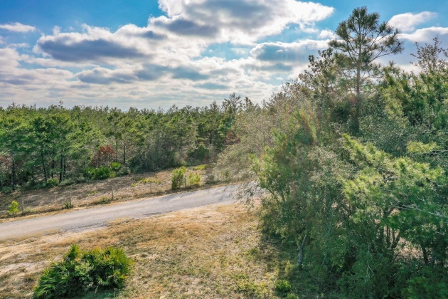 Santa Rosa Beach, Florida 32459, ,Land,For Sale,Sandstone,862461