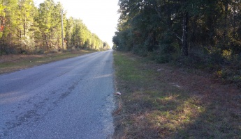 Holt, Florida 32564, ,Land,For Sale,Trawick Creek,862465