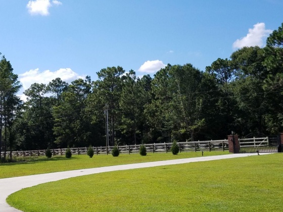 Holt, Florida 32564, ,Land,For Sale,Trawick Creek,862465