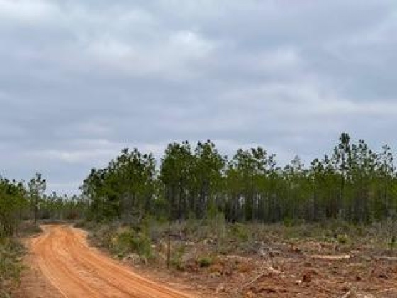 Other, Florida N/A, ,Land,For Sale,Hwy 20,862323