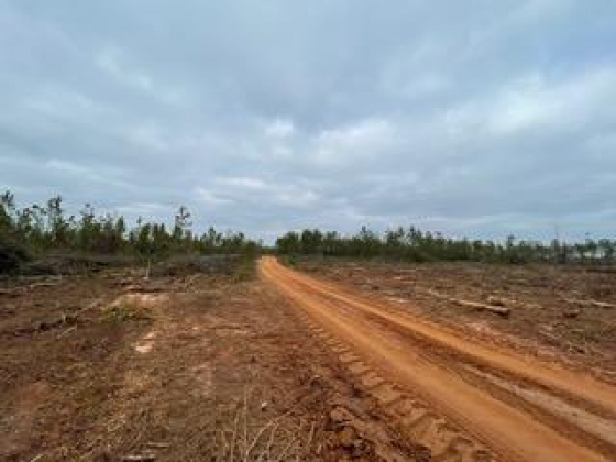 Other, Florida N/A, ,Land,For Sale,Hwy 20,862323