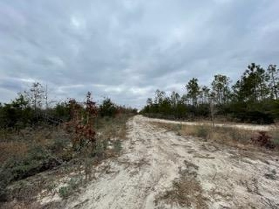 Other, Florida N/A, ,Land,For Sale,Hwy 20,862323