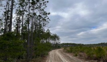 Other, Florida N/A, ,Land,For Sale,Hwy 20,862323