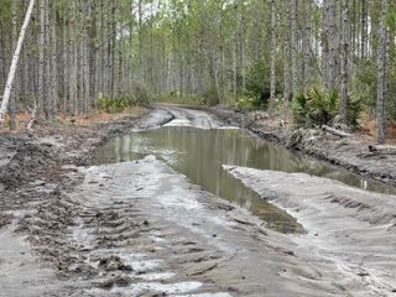 Other, Florida N/A, ,Land,For Sale,Hwy 20,862323