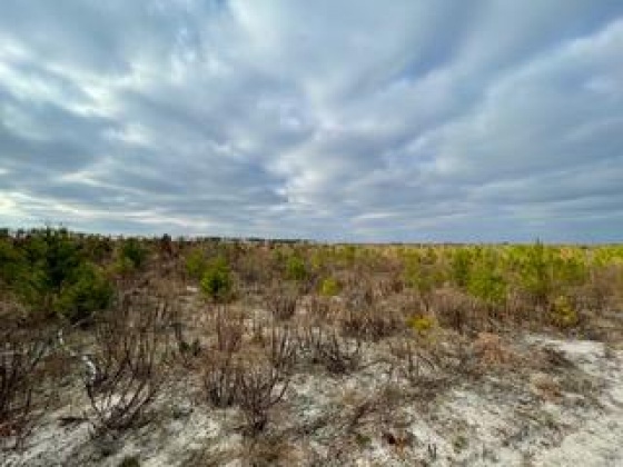 Other, Florida N/A, ,Land,For Sale,Hwy 20,862323