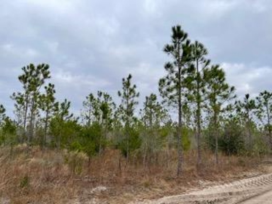 Other, Florida N/A, ,Land,For Sale,Hwy 20,862324