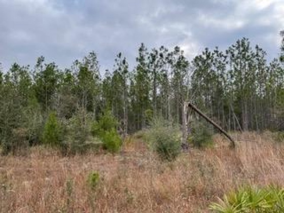 Other, Florida N/A, ,Land,For Sale,Hwy 20,862324