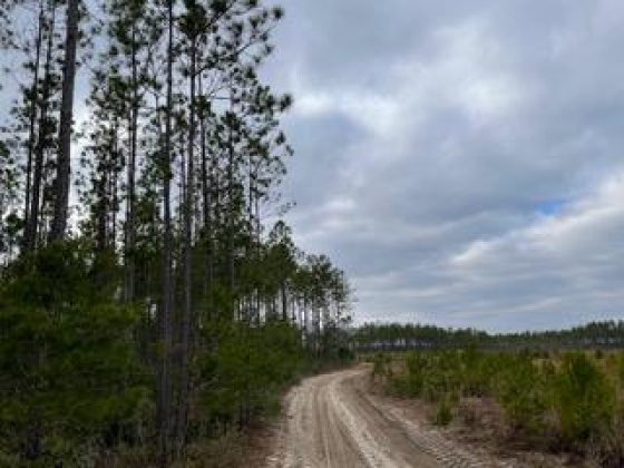 Other, Florida N/A, ,Land,For Sale,Hwy 20,862324