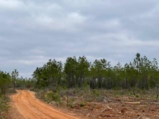 Other, Florida N/A, ,Land,For Sale,Hwy 20,862324