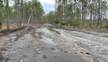 Other, Florida N/A, ,Land,For Sale,Hwy 20,862324
