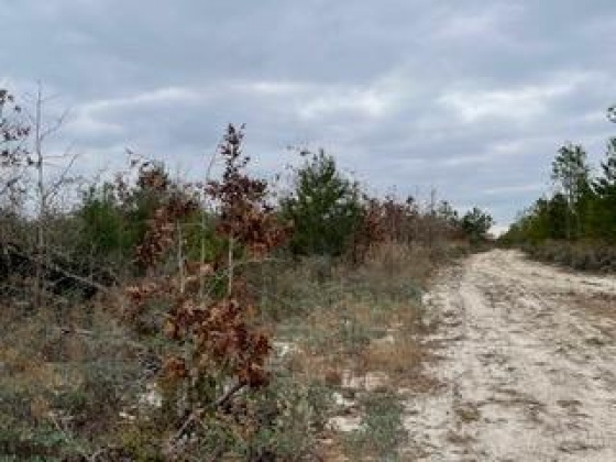 Other, Florida N/A, ,Land,For Sale,Hwy 20,862324