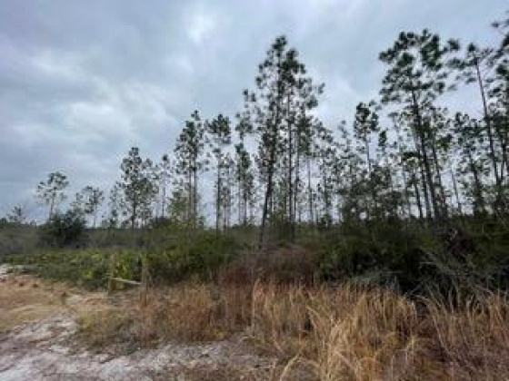 Other, Florida N/A, ,Land,For Sale,Hwy 20,862324
