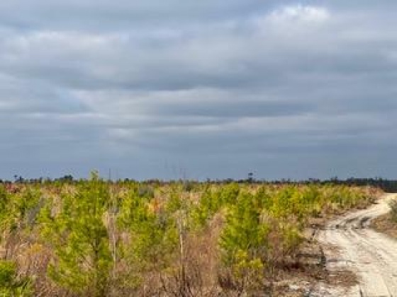 Other, Florida N/A, ,Land,For Sale,Hwy 20,862324