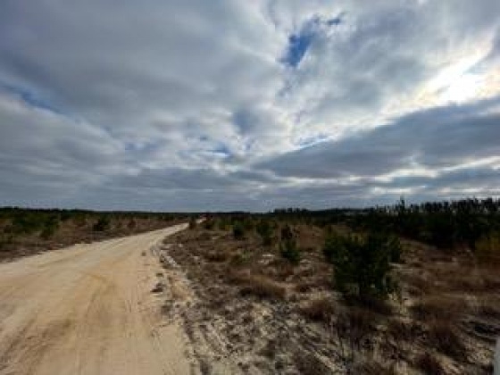Other, Florida N/A, ,Land,For Sale,Hwy 20,862324