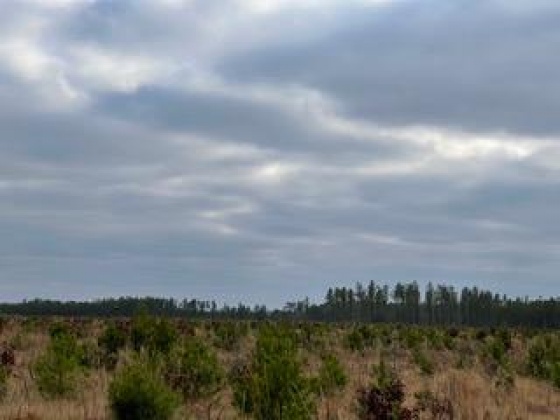 Other, Florida N/A, ,Land,For Sale,Hwy 20,862324