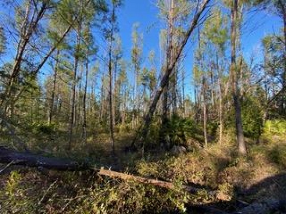 Other, Florida N/A, ,Land,For Sale,Hwy 20,862322