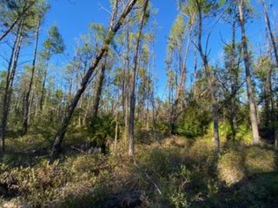 Other, Florida N/A, ,Land,For Sale,Hwy 20,862322