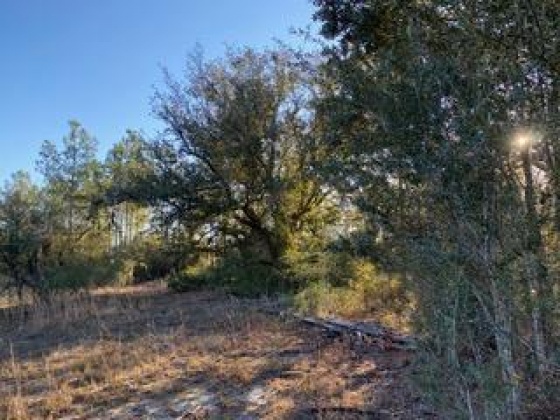 Other, Florida N/A, ,Land,For Sale,Hwy 20,862322