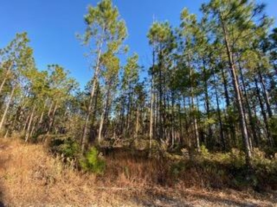 Other, Florida N/A, ,Land,For Sale,Hwy 20,862322