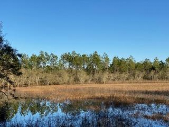 Other, Florida N/A, ,Land,For Sale,Hwy 20,862322