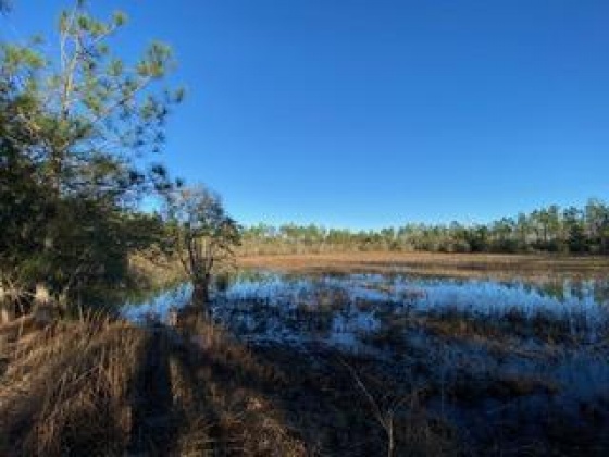 Other, Florida N/A, ,Land,For Sale,Hwy 20,862322
