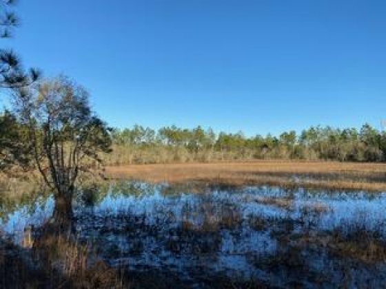 Other, Florida N/A, ,Land,For Sale,Hwy 20,862322