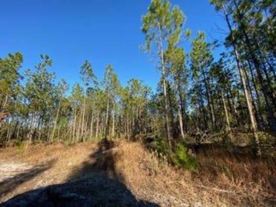 Other, Florida N/A, ,Land,For Sale,Hwy 20,862322