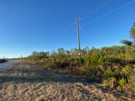 Other, Florida N/A, ,Land,For Sale,Hwy 20,862322