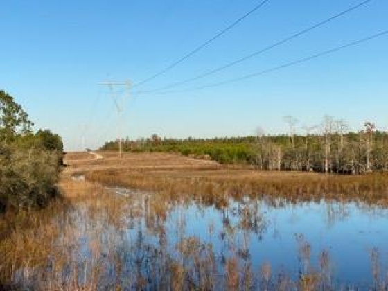 Other, Florida N/A, ,Land,For Sale,Hwy 20,862322