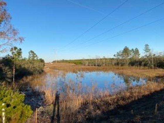 Other, Florida N/A, ,Land,For Sale,Hwy 20,862322