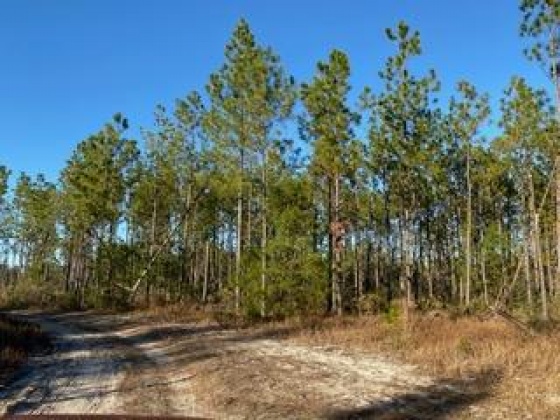 Other, Florida N/A, ,Land,For Sale,Hwy 20,862322