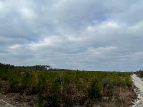 Other, Florida N/A, ,Land,For Sale,Hwy 20,862318