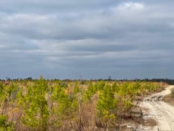 Other, Florida N/A, ,Land,For Sale,Hwy 20,862318