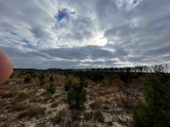 Other, Florida N/A, ,Land,For Sale,Hwy 20,862318