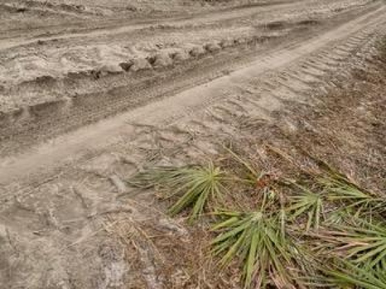 Other, Florida N/A, ,Land,For Sale,Hwy 20,862319