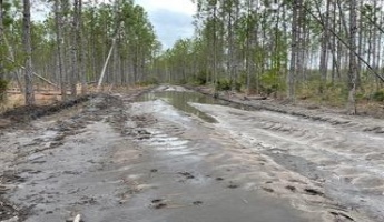 Other, Florida N/A, ,Land,For Sale,Hwy 20,862319