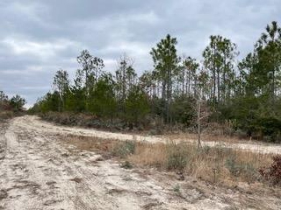 Other, Florida N/A, ,Land,For Sale,Hwy 20,862319
