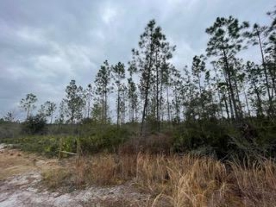 Other, Florida N/A, ,Land,For Sale,Hwy 20,862319