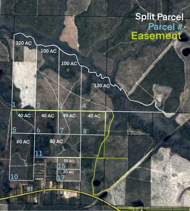 Other, Florida N/A, ,Land,For Sale,Hwy 20,862319