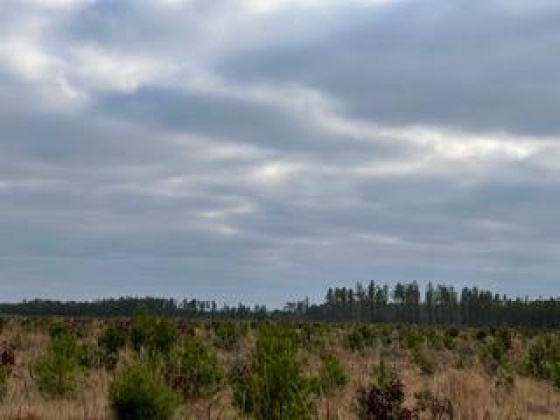 Other, Florida N/A, ,Land,For Sale,Hwy 20,862319