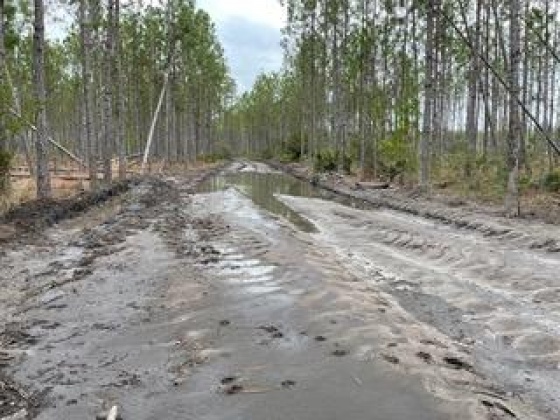 Other, Florida N/A, ,Land,For Sale,Hwy 20,862320