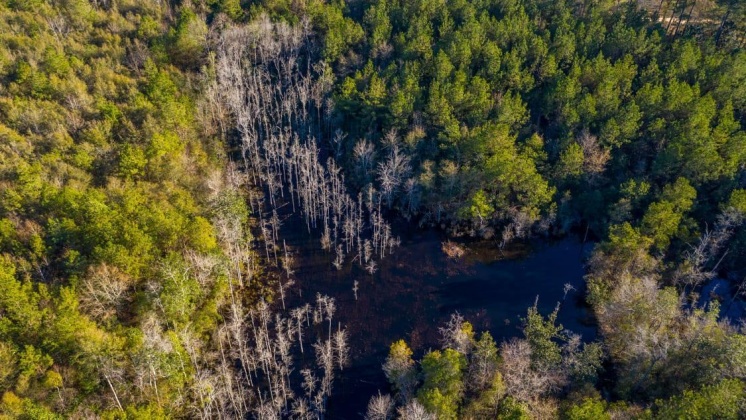 Defuniak Springs, Florida 32433, ,Land,For Sale,CO HWY 1883,862541